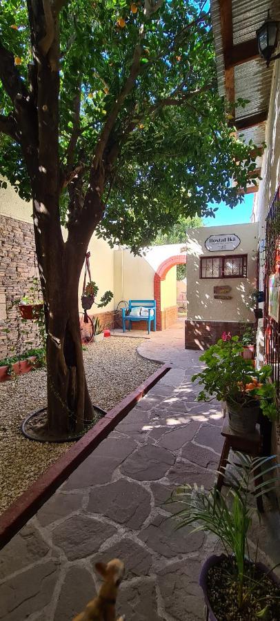 Hostal Ika Chihuahua Exterior photo