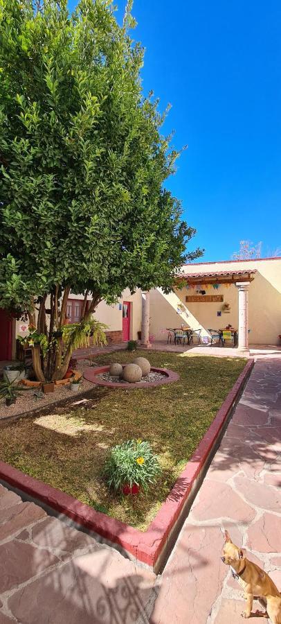 Hostal Ika Chihuahua Exterior photo