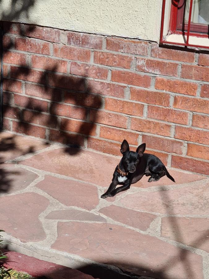 Hostal Ika Chihuahua Exterior photo